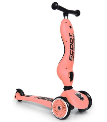 Patinete Scoot and Ride 