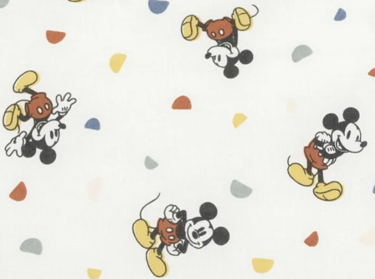 Mickey Celebration